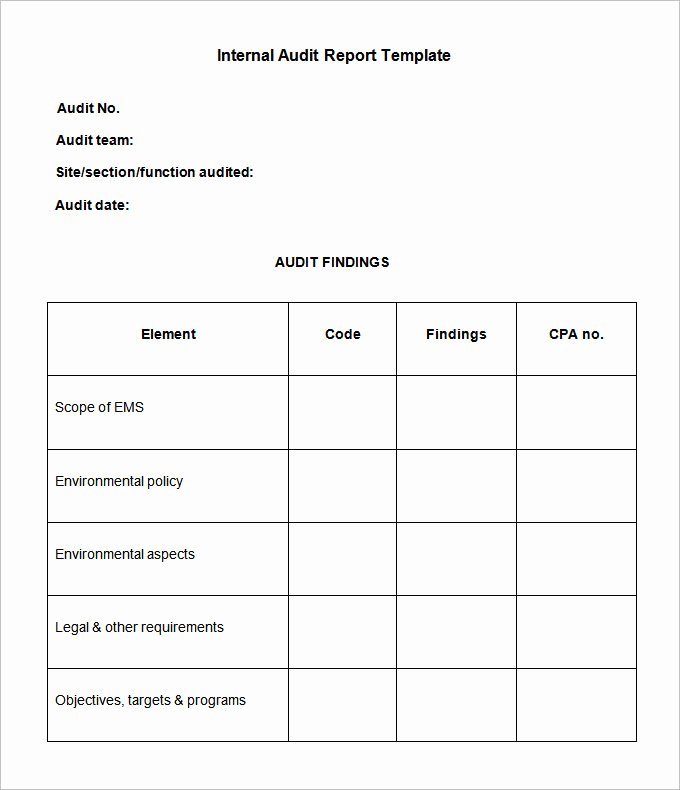 internal audit report template