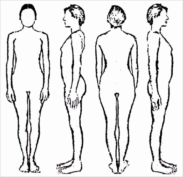 human body outline drawing