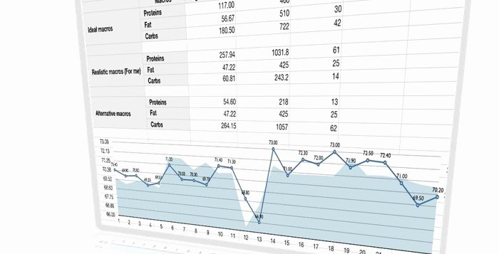 calories tracker spreadsheet