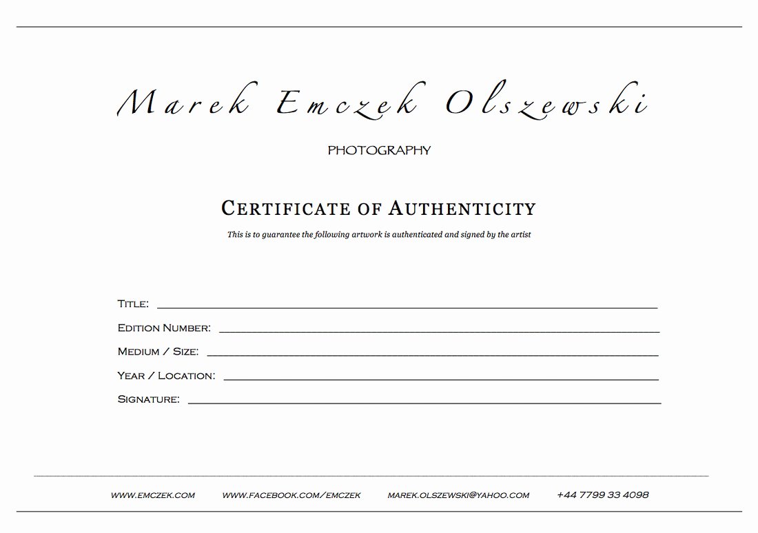 Certificate Of Authenticity Template Beautiful How to Create A Certificate Authenticity for Your