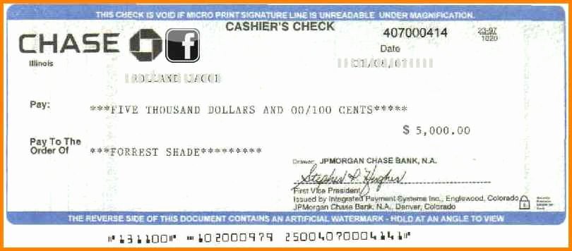 Chase Bank Check Template