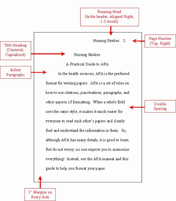 college essay format apa lovely apa format essay example of college essay format apa