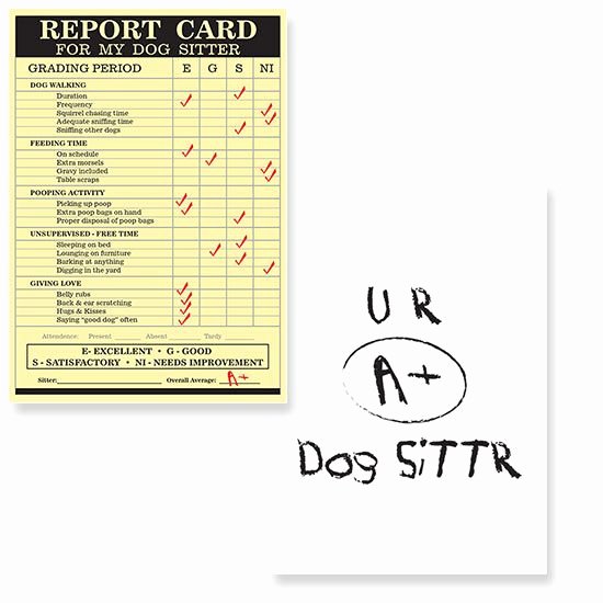 Dog Daycare Report Card