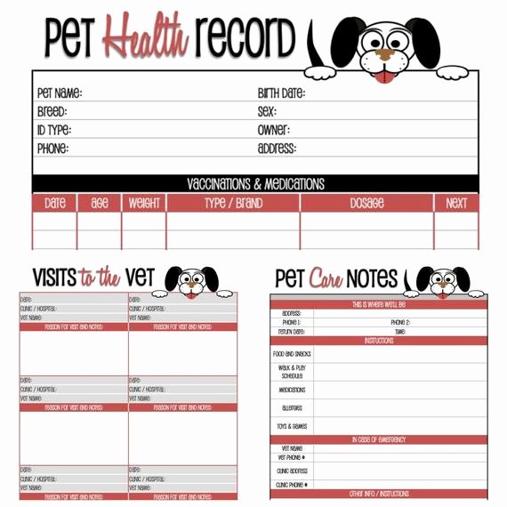 Dog Shot Record Template Elegant Dog Health Record Printable for the Pup