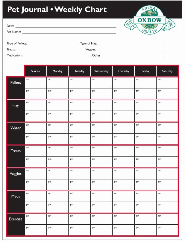 p printable puppy vaccination chart dogs