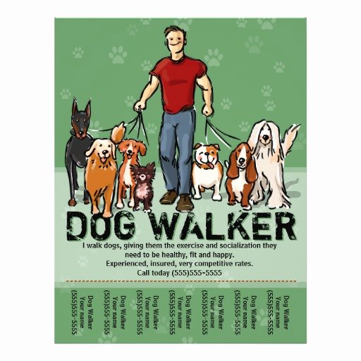 dog walker dog walking guy grn promotemplate flyer