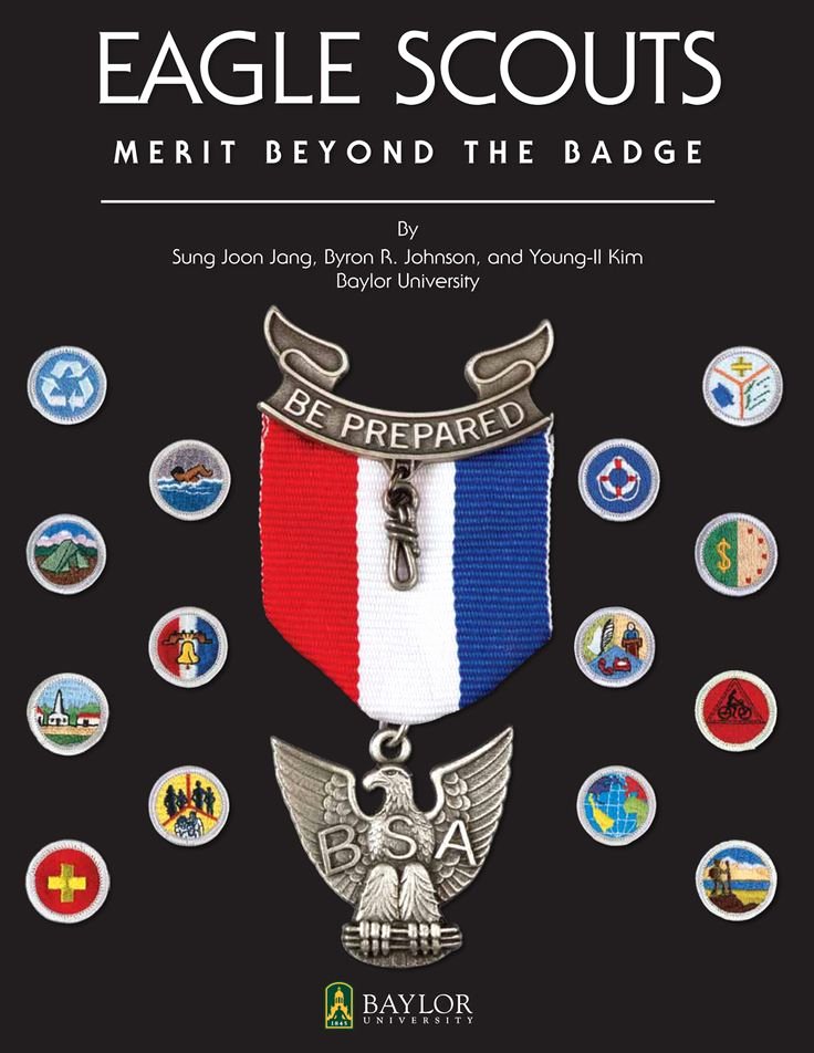 Eagle Scout Ambition Statement Example Best Of 17 Best Ideas About Eagle Scout Badge On Pinterest