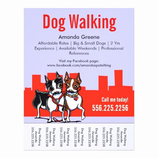 Free Dog Walking Flyer Template Best Of Dog Walking Walker Boston Terriers Tear Sheet Flyer Design