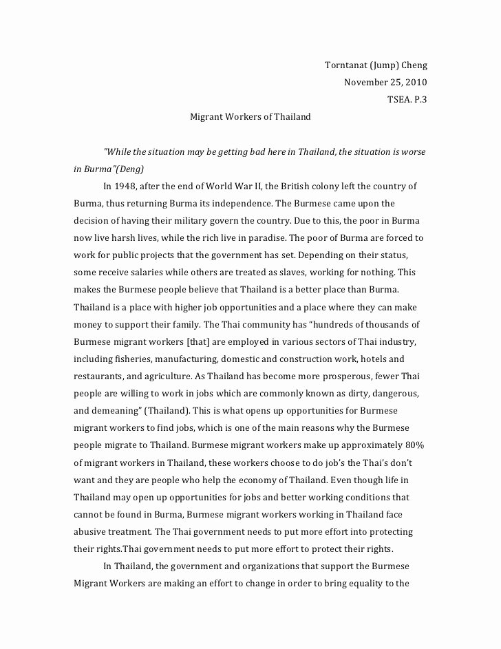essay on immigrants in the us
