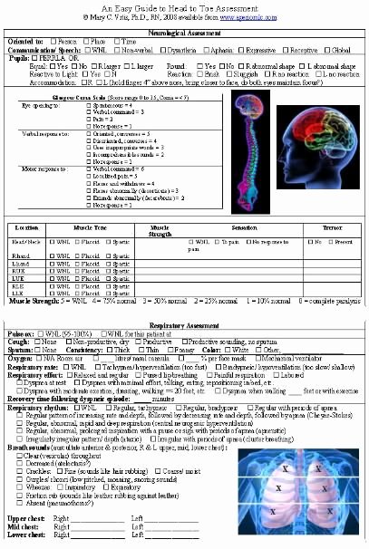 head to toe assessment template elegant head to toe assessment form for clinical of head to toe assessment template