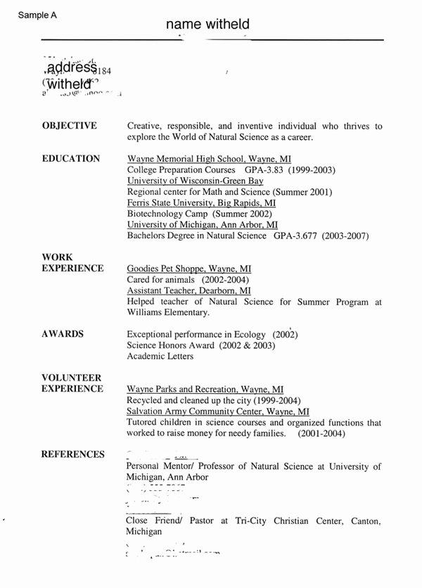 top 10 mcdonalds job resume