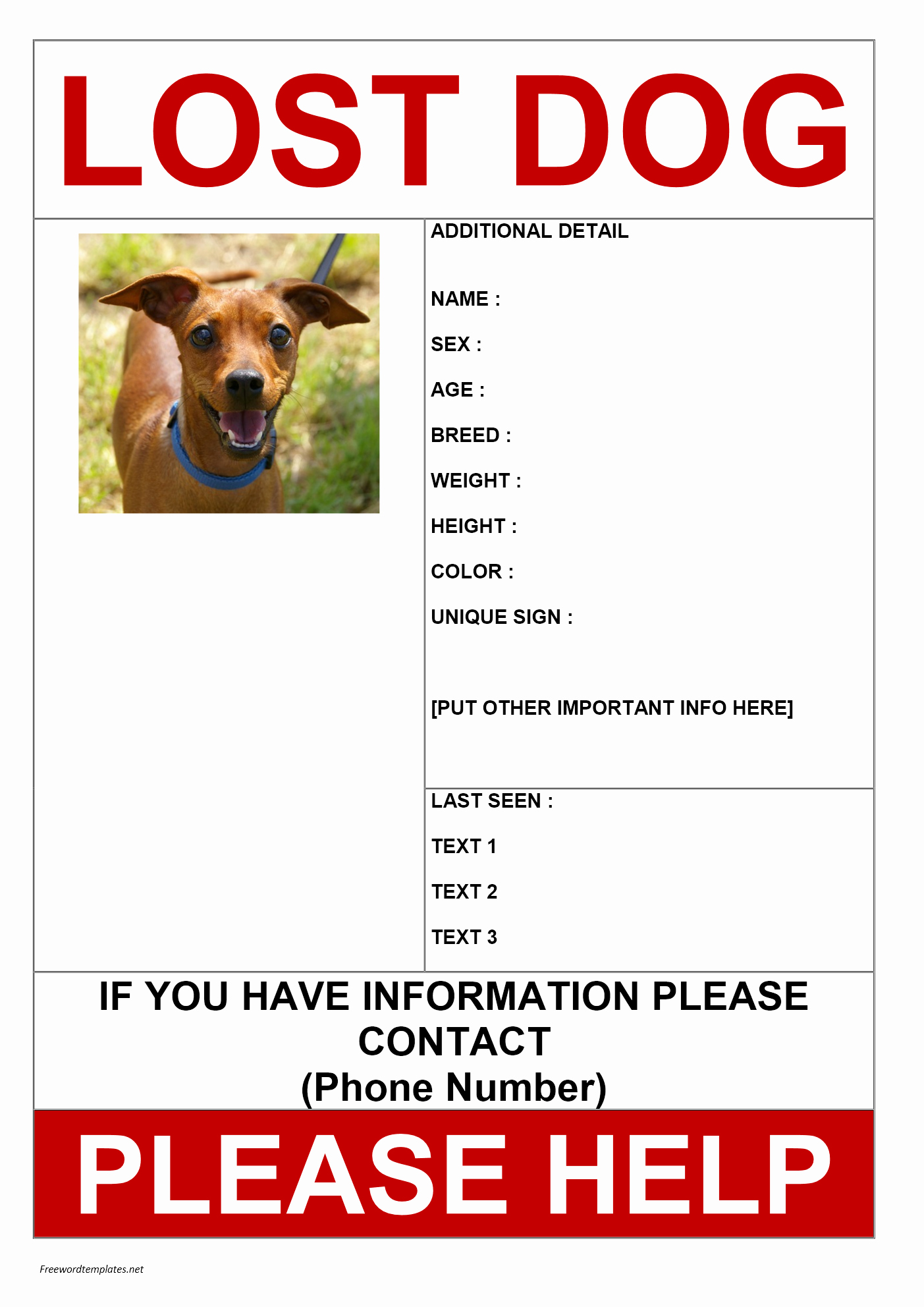 missing dog poster