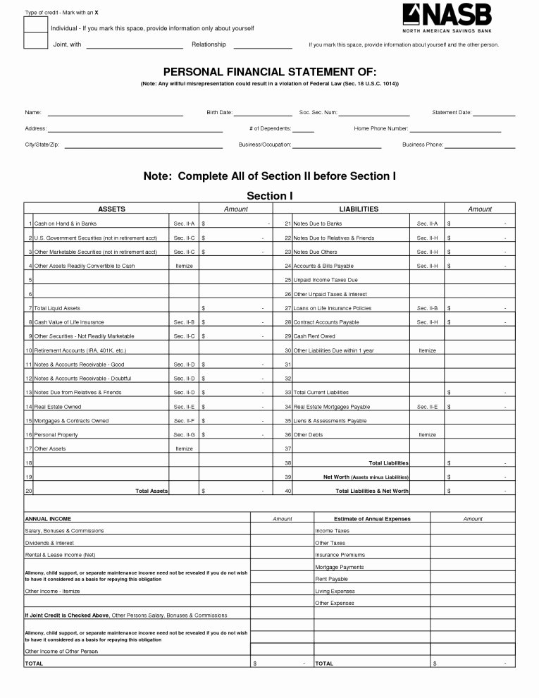 non profit financial statement template excel