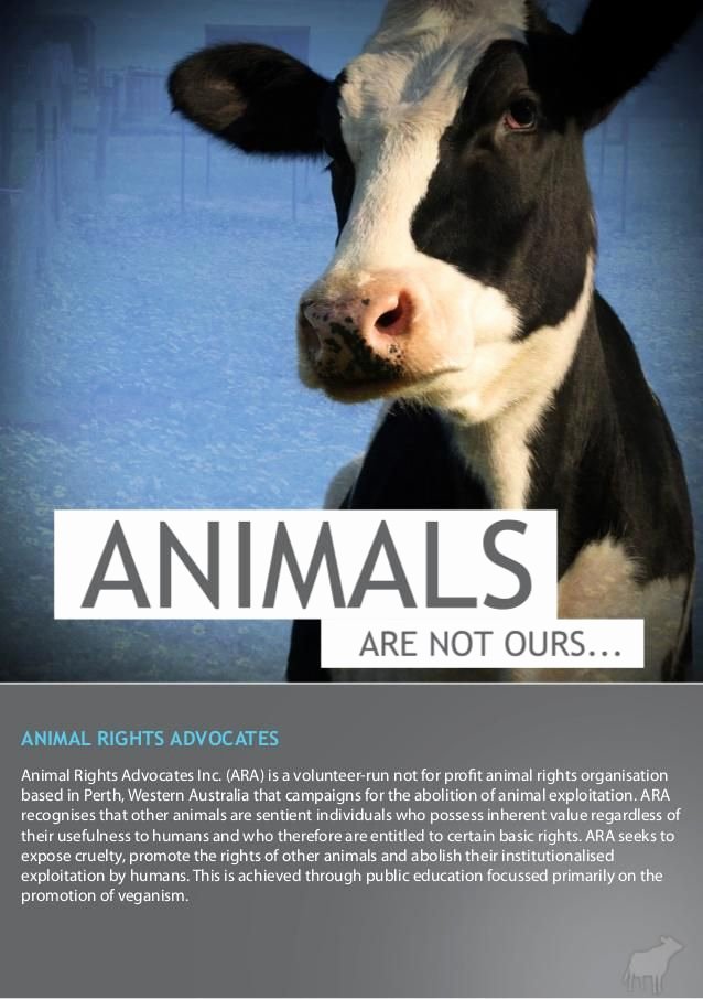 animal rights