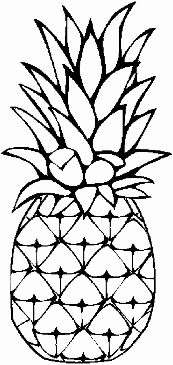 pineapple template printable beautiful pineapple coloring page of pineapple template printable