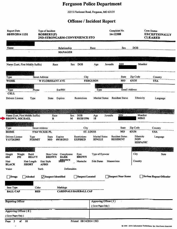 Police Report Samples