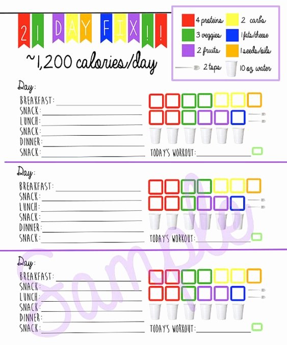 printable daily calorie tracker