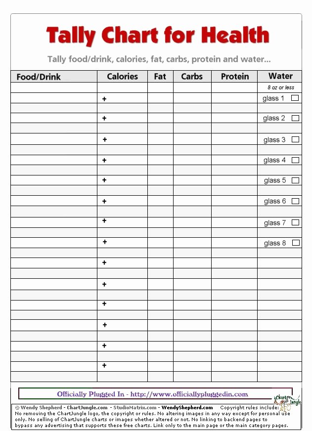 calorie tracker template