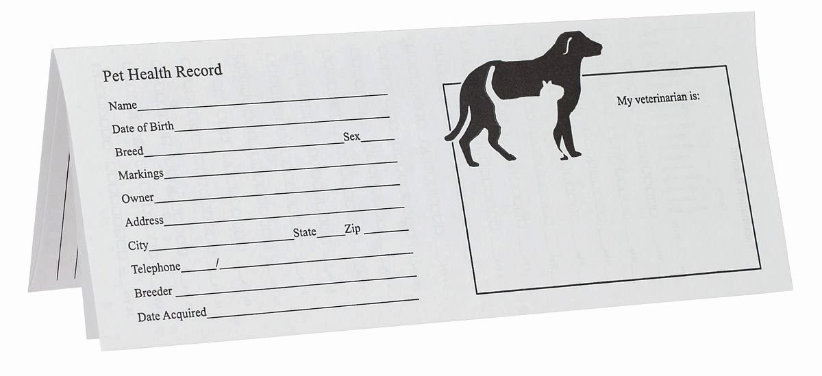 Printable Puppy Shot Records