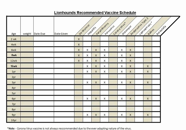 p printable puppy vaccination chart dogs