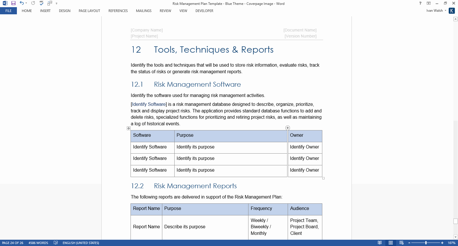 risk management plan template