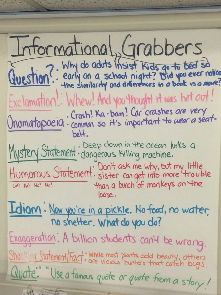 informative essay sample 5th grade