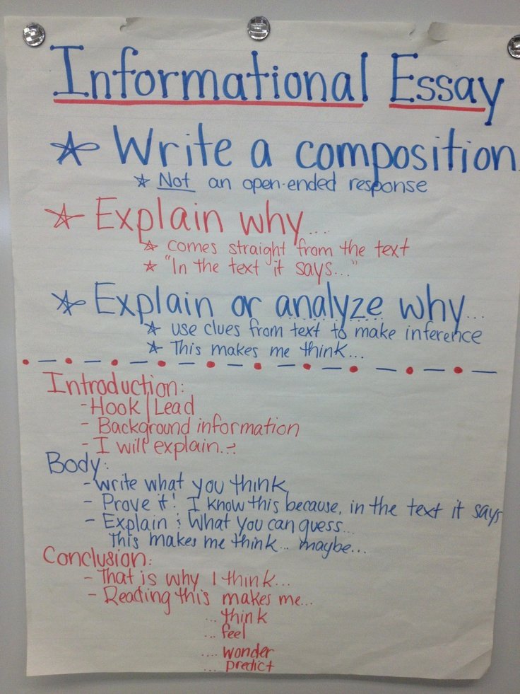 informational essay 5th grade examples