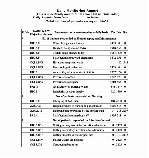 daily report template