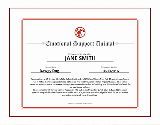Service Dog Id Card Template Free Download Best Of Service Animal Certificate Template Reeviewer