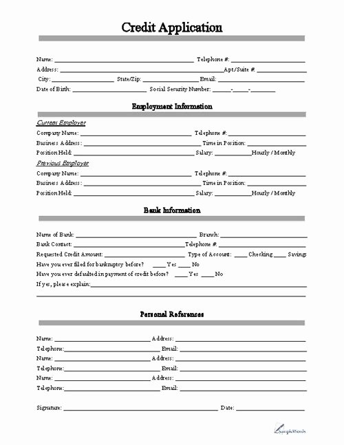 credit application form