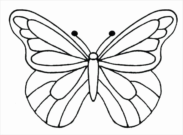 butterflies template to print