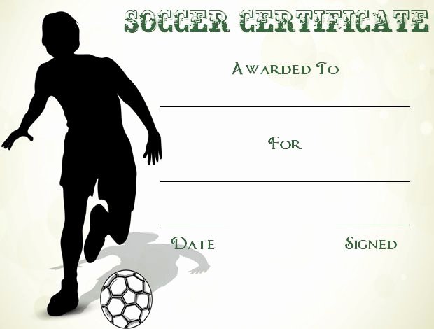 soccer award certificate templates free