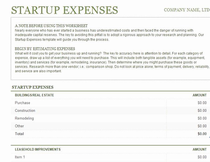 Startup Expenses and Capitalization Spreadsheet Luxury Profit and Loss Fice