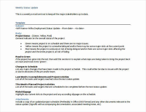 status report template