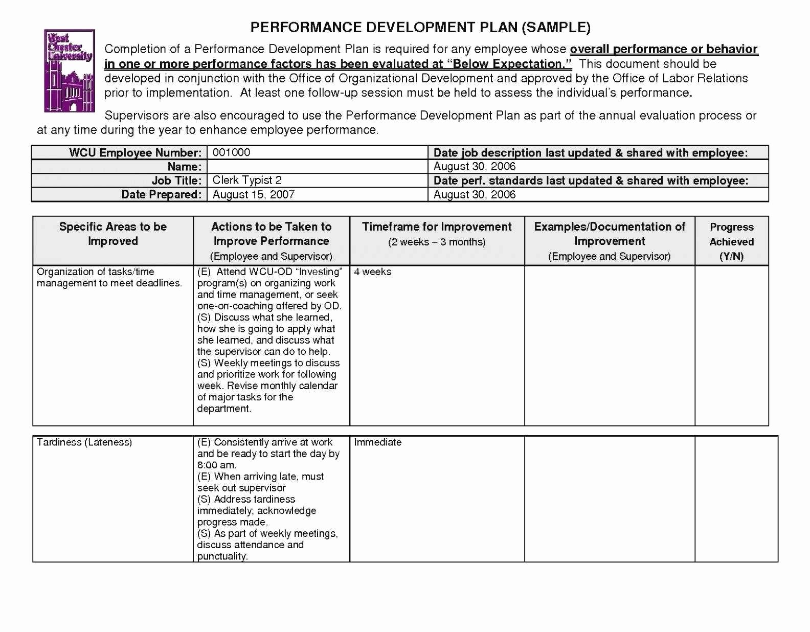 non profit strategic plan template free word pdf 3