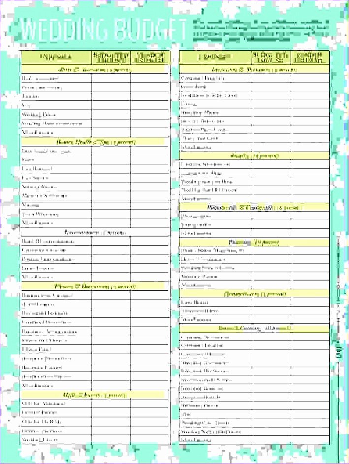 Wedding Project Plan Excel