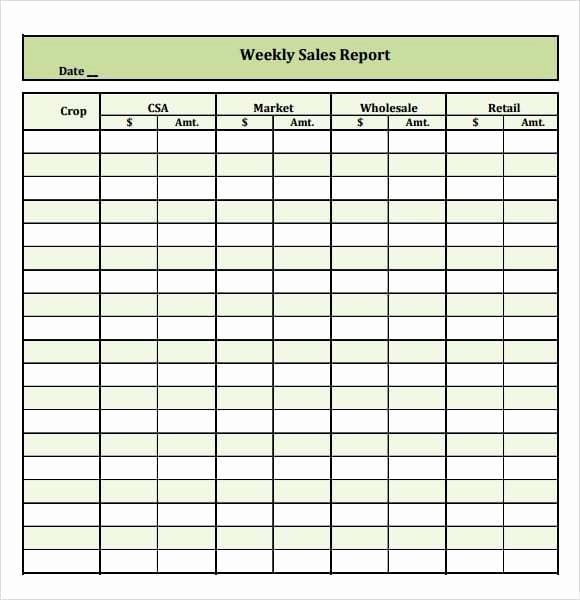 sales report template